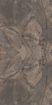 керамическая плитка универсальная ARIANA epoque brown ret 60x120