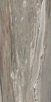 керамическая плитка универсальная REX etoile tropical glossy ret 60x120