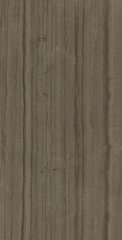 керамическая плитка универсальная ITALON charme advance elegant brown lux 80x160