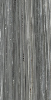 керамическая плитка универсальная ITALON charme advance palissandro dark ret 80x160