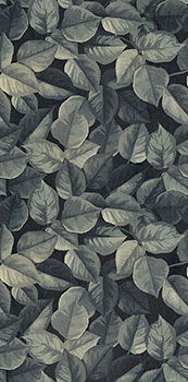 керамическая плитка настенная ABK wide and style mini foliage 60x120x0.7