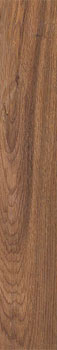 керамическая плитка универсальная AMETIS selection eucalyptus si02 мат 19.4x120