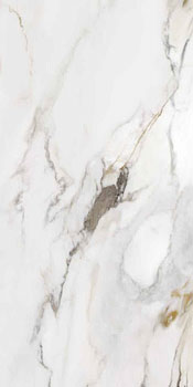 керамическая плитка универсальная AVA marmo e pietra macchia antica lap ret 60x120