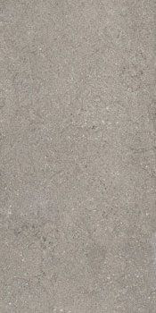 керамическая плитка универсальная ITALON discover grey ret 60x120