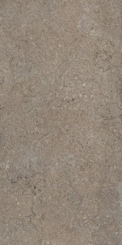 керамическая плитка универсальная ITALON discover desert ret 60x120