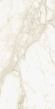 керамическая плитка универсальная ITALON eternum carrara ret 80x160