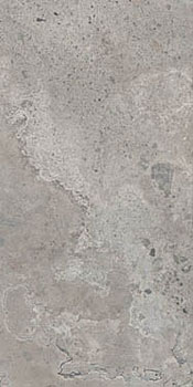 керамическая плитка универсальная ABK pietra viva grey ant ret 60x120