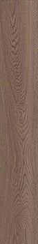 керамическая плитка универсальная ABK poetry wood oak nat ret 20x120