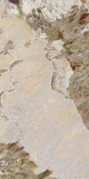 керамическая плитка универсальная ABK sensi nuance patago.wow lux ret 60x120
