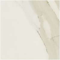 3 REX i classici cal.gold glossy ret 80x80