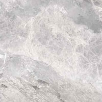 3 CERDOMUS supreme silver nat ret 60x60