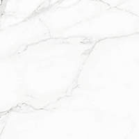 керамическая плитка универсальная NAXOS rhapsody white beauty levigato+ ret 60x60