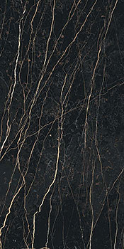 3 REX prexious thunder night glo 60x120x1