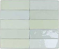 1 DNA safi mint 5.2x16