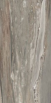3 REX etoile tropical glossy ret 60x120
