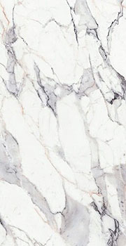 3 REX origines argent glo ret 60x120x0.6