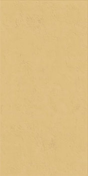 1 ABK wide and style mini ginger 60x120