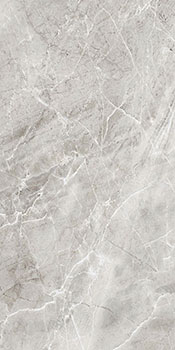 3 AXIMA delhi серый рет 60x120
