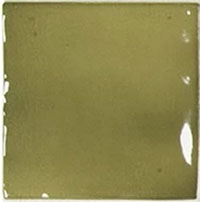 1 EQUIPE manacor basil green 10x10