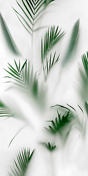 3 41ZERO42 paper lux cristoforo 60x120