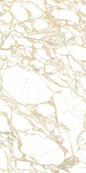 3 41ZERO42 pulp gold double pol 60x120