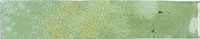 1 DNA enamel moss 5x25