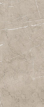 1 PORCELANITE DOS 8215 vision 33.3x80