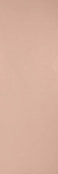 1 PORCELANITE DOS trent 9532 coral ret 30x90