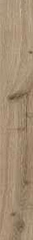 3 RAGNO woodessence beige 10x70