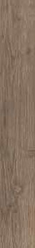 3 RAGNO woodessence brown 10x70