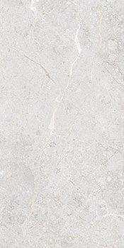 3 ART NATURA una pietra nordix silver glossy 60x120x0.9