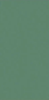1 LOVE TILES genesis green mat 30x60
