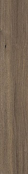 3 CRETO gevorg brown 19.4x120