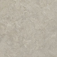 3 CRETO shell rc bg 60x60
