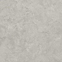 3 CRETO shell rc lg 60x60
