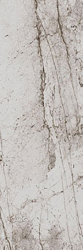 1 EUROTILE passion 802 light 29.5x89.5