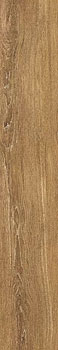 3 PERONDA verbier cherry as 19.5x121.5