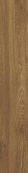 3 PERONDA verbier cigar as 19.5x121.5