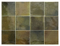 1 EQUIPE hanoi wild olive 10x10