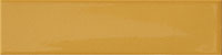 1 41ZERO42 kappa mustard 5x20