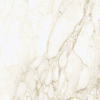 3 COLISEUMGRES michelangelo warm ret 60x60