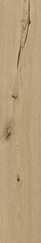 3 COLISEUMGRES natura honey ret 20x120