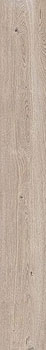 3 FLAVIKER four seasons biscuit nat 20x120