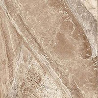 3 STARO oasis imperador choco polished 60x60