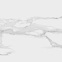 3 STARO oasis milos statuario polished 60x60