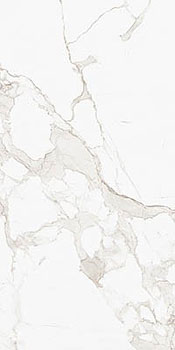 3 STARO arts roma blanco polished 60x120x0.5