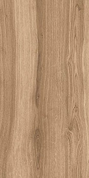 3 STARO madera dark matt 60x120x0.5