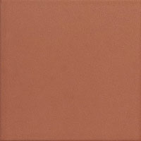 1 AVA up avana matte 5x25