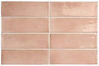 1 EQUIPE coco orchard pink glossy 5x15