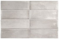 1 EQUIPE coco amber grey glossy 5x15